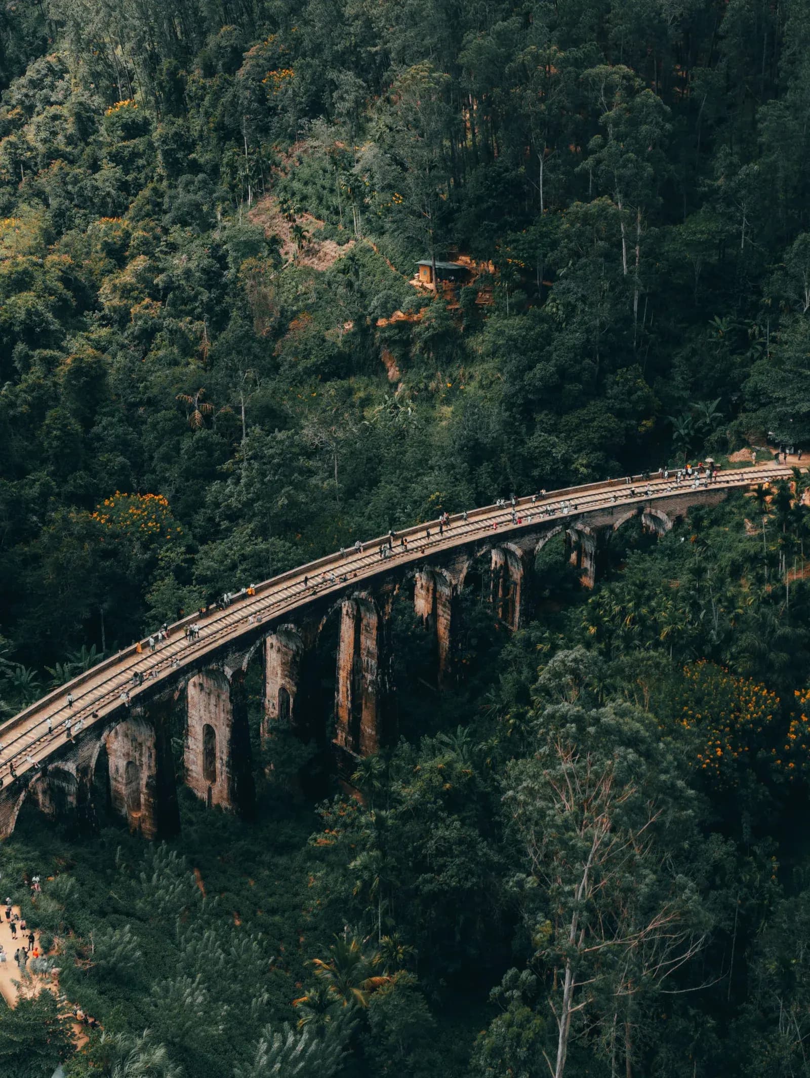 Scenic blue train crossing the Nine Arches Bridge viaduct surrounded by tea hills in Ella, Sri Lanka.