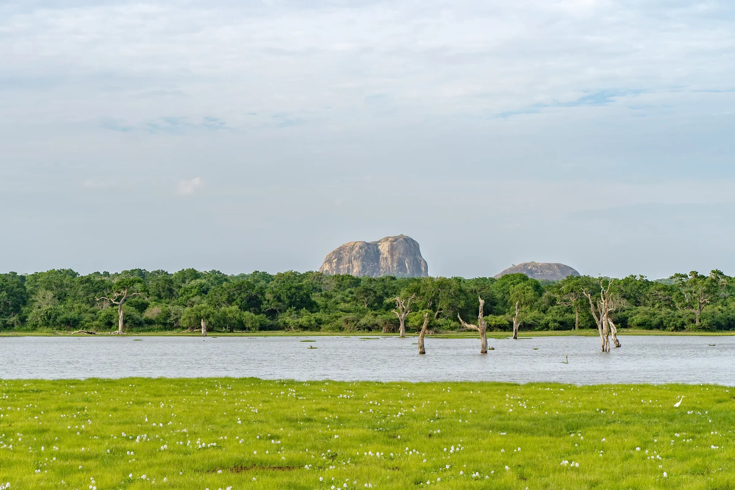 Panoramic view of Sri Lanka's lush tropical nature and mountain highlands.