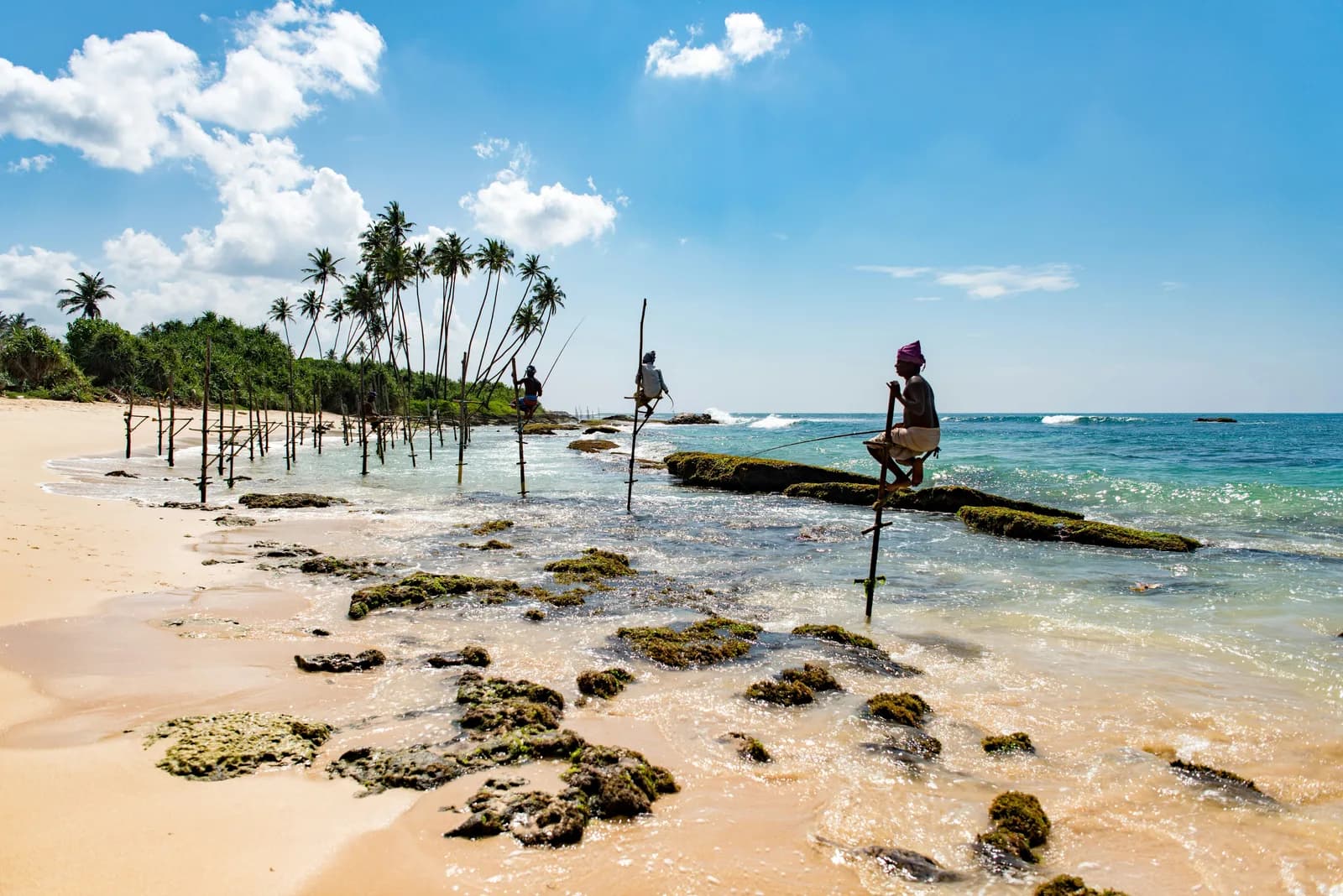 Classic stilt fishing tradition in southern Sri Lanka illuminated by sunset.