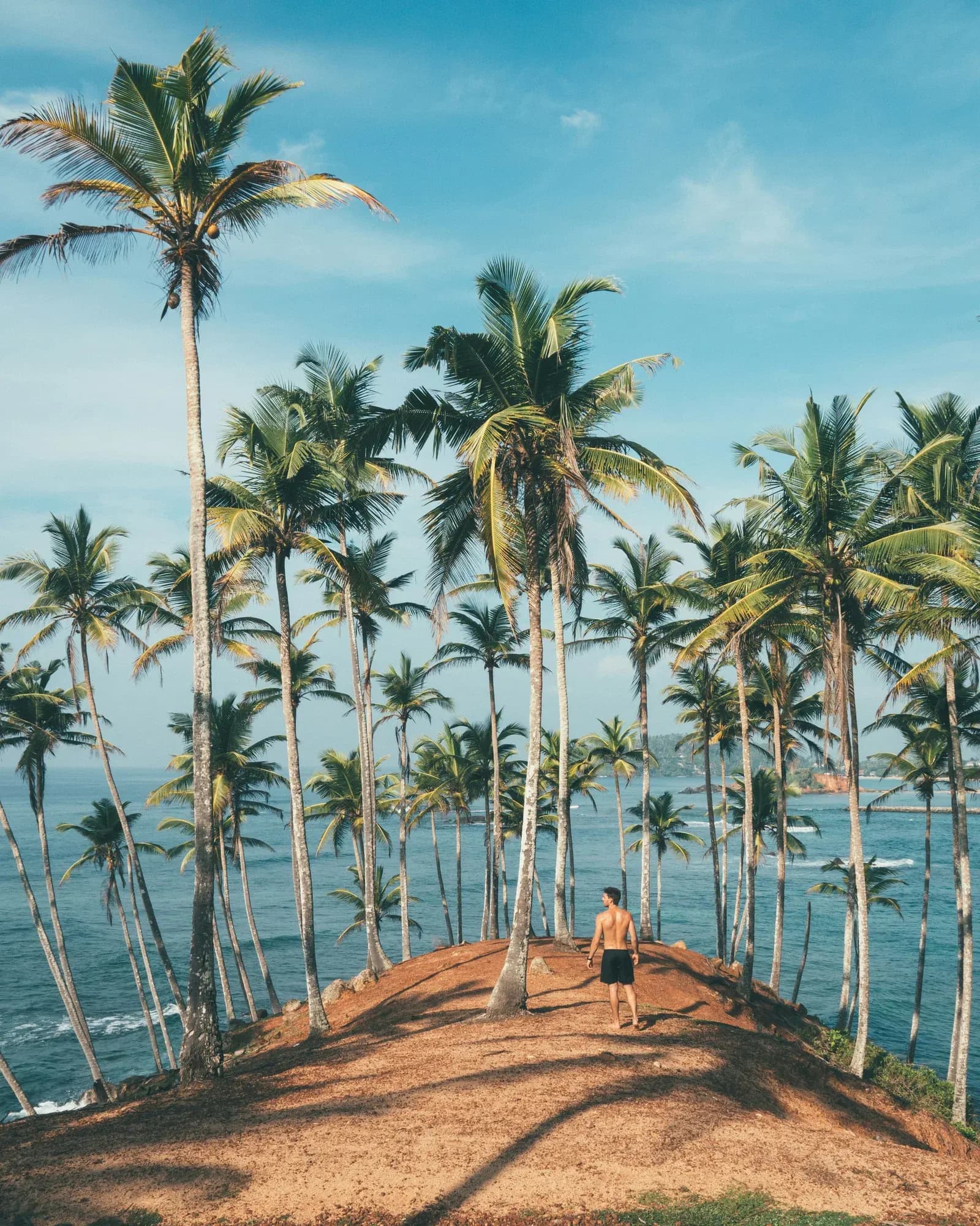 Aerial view of palm-fringed golden crescent beach and azure Indian Ocean waters at Mirissa, Sri Lanka.