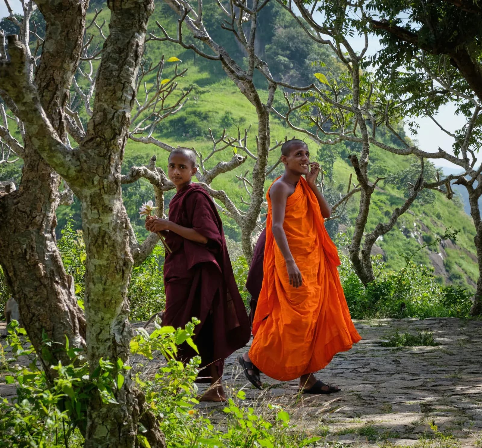 Young Buddhist monks in saffron robes standing peacefully at a sacred temple sanctuary.