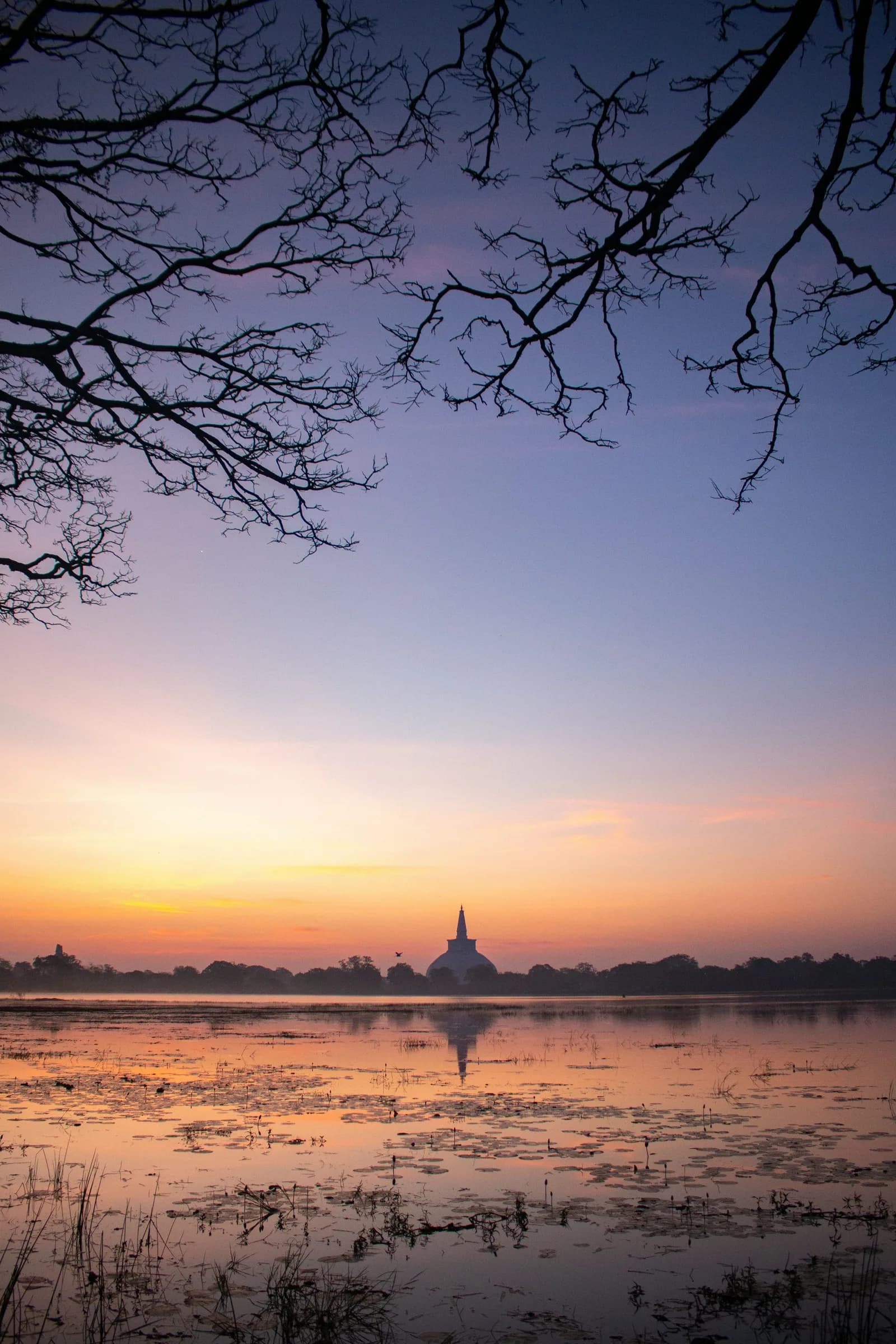 Historic stone carvings and ancient sacred monuments in royal Anuradhapura.